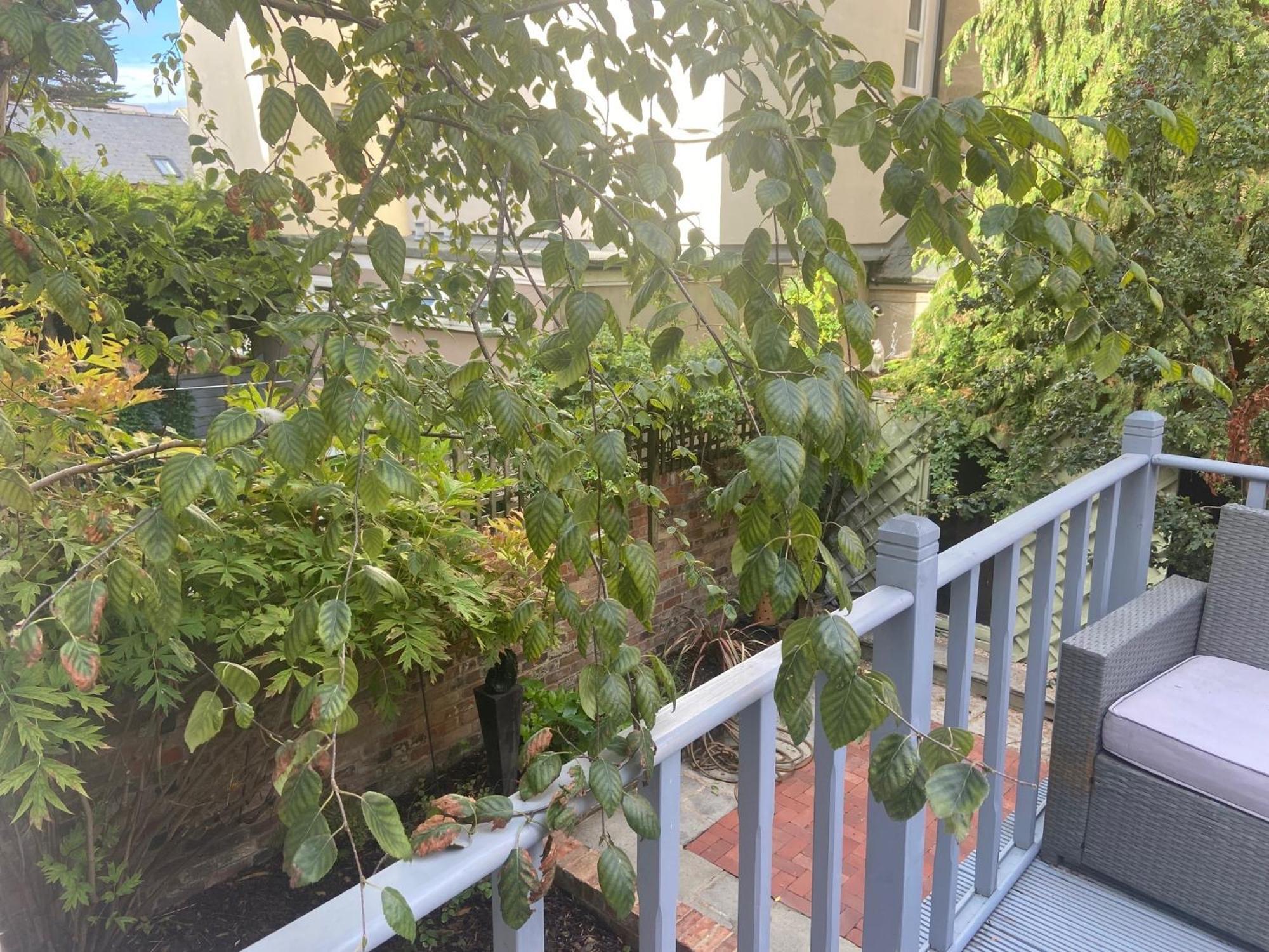 Town Centre Garden Retreat Appartement Cheltenham Buitenkant foto